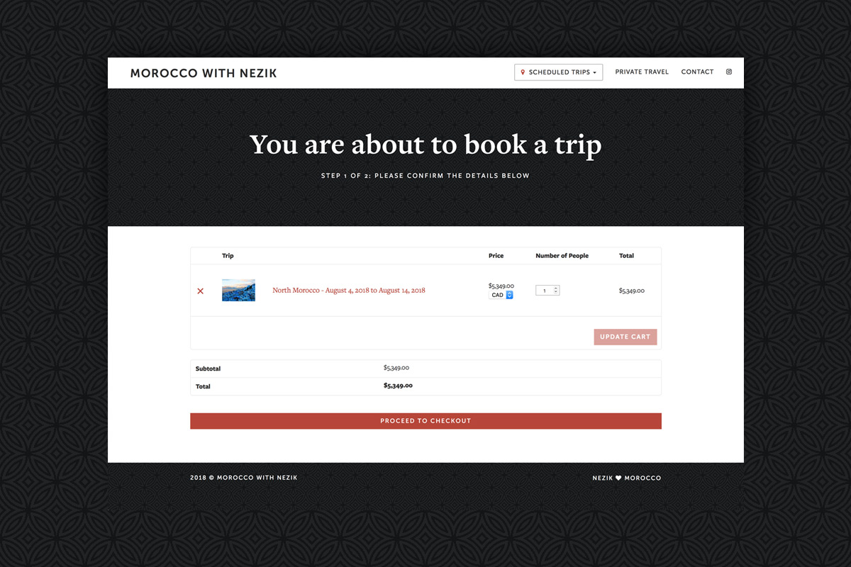 Travel company website design